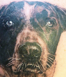 03b   Tiere   Tattoo Hamburg Skinworxx (2)